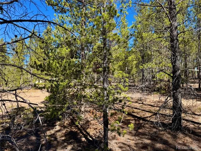 360 Peak View Drive Leadville, CO 80461