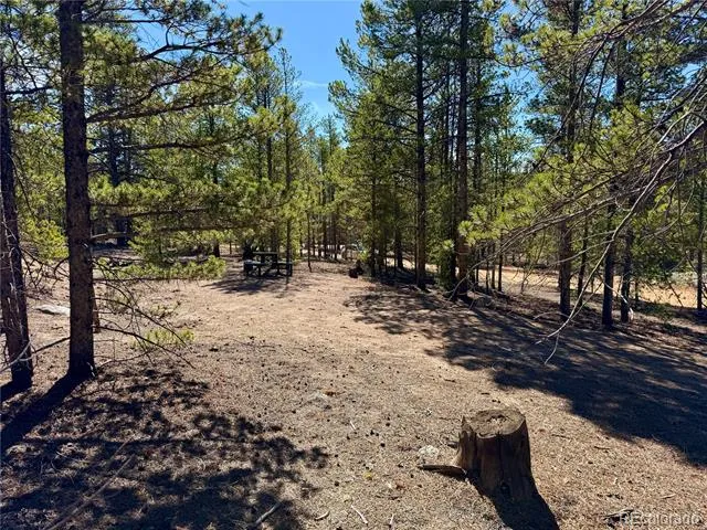 360 Peak View Drive Leadville, CO 80461