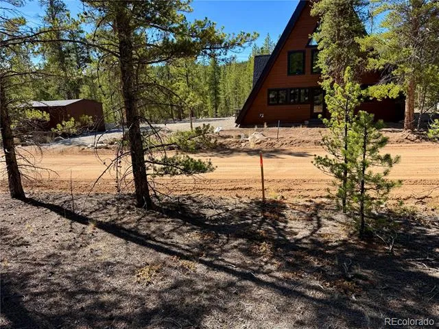 360 Peak View Drive Leadville, CO 80461