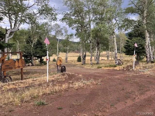 2876 Fery Loop Fort Garland, CO 81133