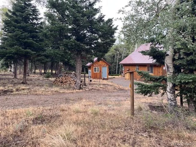 2876 Fery Loop Fort Garland, CO 81133