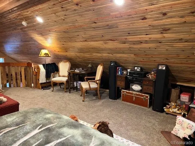 2876 Fery Loop Fort Garland, CO 81133