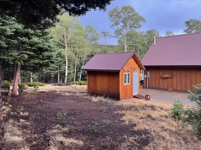 2876 Fery Loop Fort Garland, CO 81133