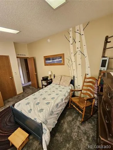 462 Bonell Drive Fairplay, CO 80440
