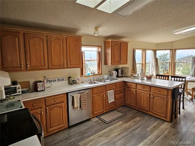 462 Bonell Drive Fairplay, CO 80440