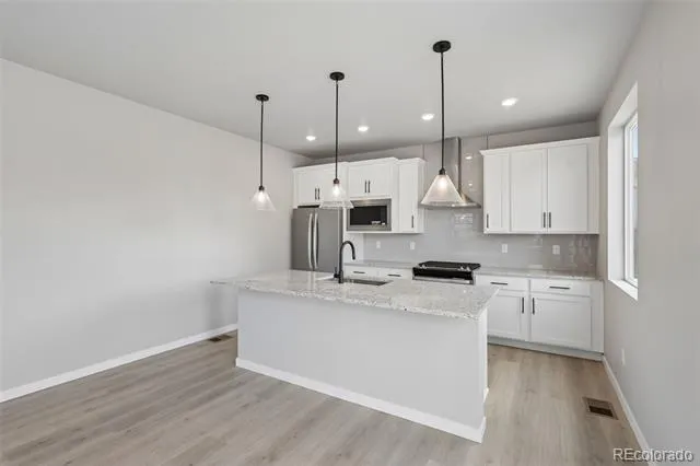 13373 Finnhorse Street Parker, CO 80134