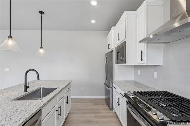 13373 Finnhorse Street Parker, CO 80134