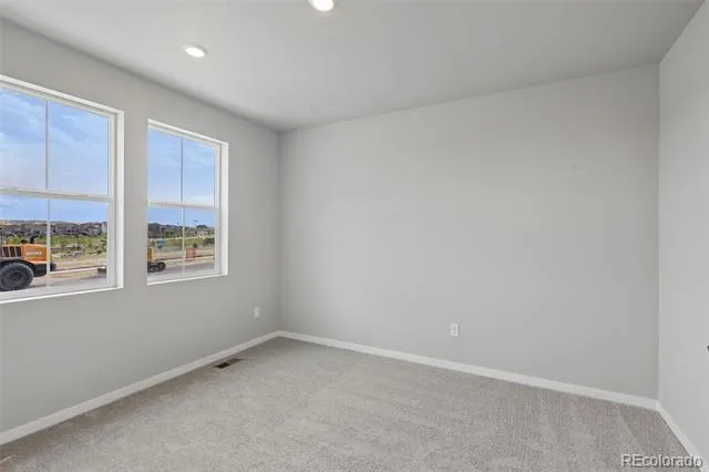 13373 Finnhorse Street Parker, CO 80134