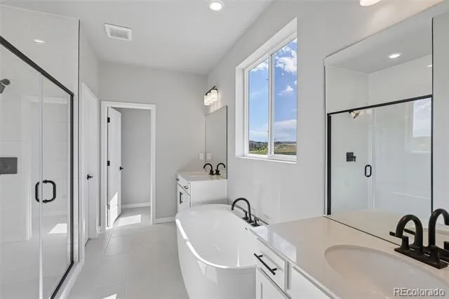 13373 Finnhorse Street Parker, CO 80134