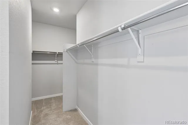13373 Finnhorse Street Parker, CO 80134