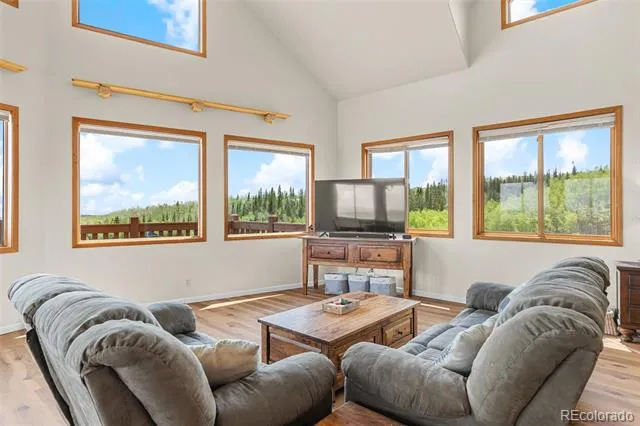 566 Palmer Peak Drive Fairplay, CO 80440