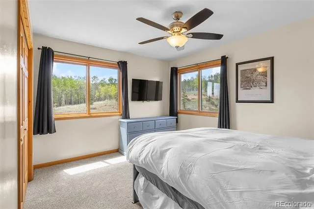 566 Palmer Peak Drive Fairplay, CO 80440