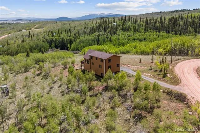 566 Palmer Peak Drive Fairplay, CO 80440