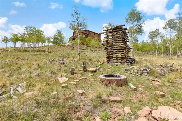 566 Palmer Peak Drive Fairplay, CO 80440