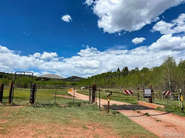566 Palmer Peak Drive Fairplay, CO 80440