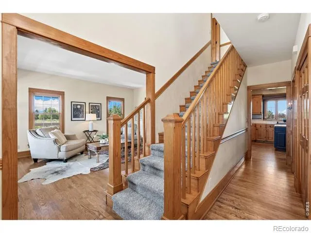 924 Clydesdale Lane Windsor, CO 80550