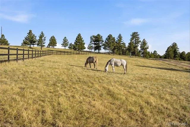 47682 Knibbe Court Parker, CO 80138