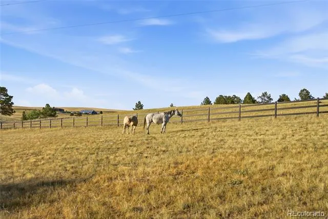 47682 Knibbe Court Parker, CO 80138