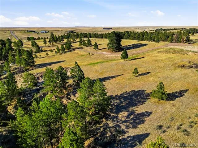 47682 Knibbe Court Parker, CO 80138