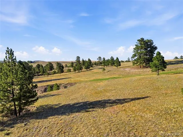 47682 Knibbe Court Parker, CO 80138