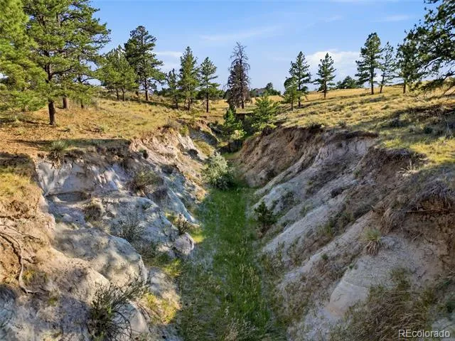 47682 Knibbe Court Parker, CO 80138