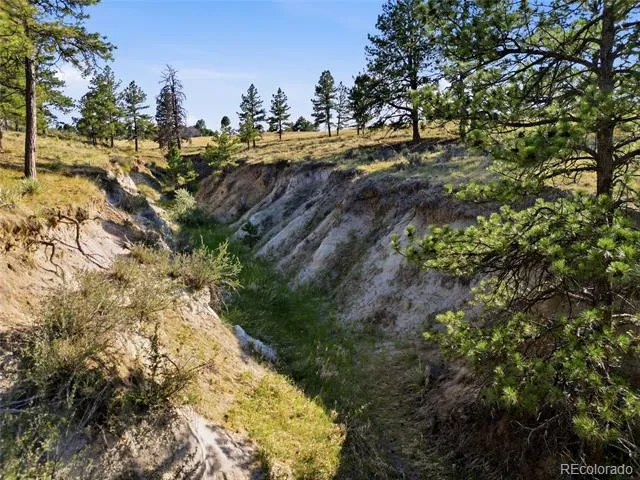 47682 Knibbe Court Parker, CO 80138