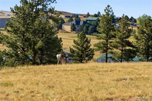 47682 Knibbe Court Parker, CO 80138
