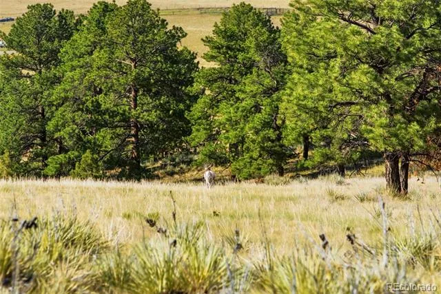 47682 Knibbe Court Parker, CO 80138