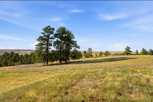 47682 Knibbe Court Parker, CO 80138