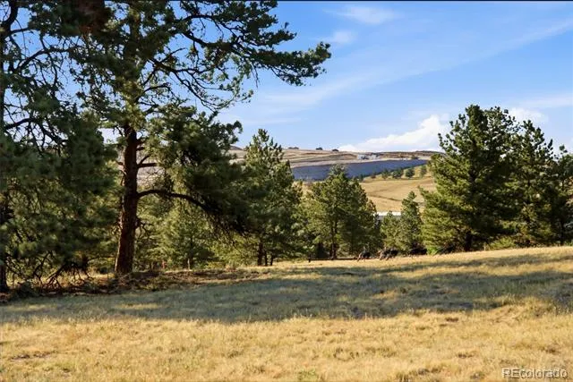 47682 Knibbe Court Parker, CO 80138