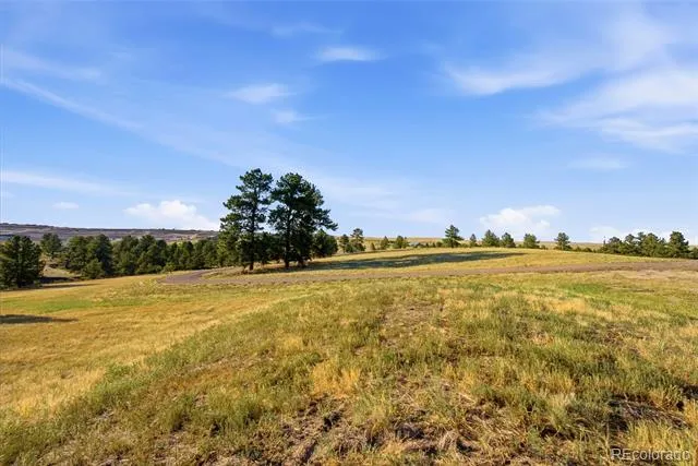 47682 Knibbe Court Parker, CO 80138