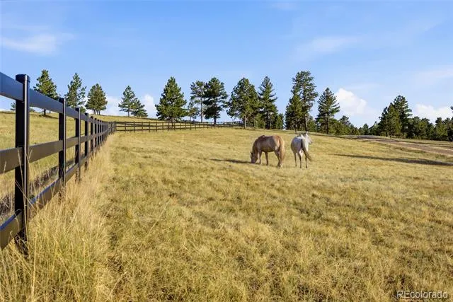 47682 Knibbe Court Parker, CO 80138