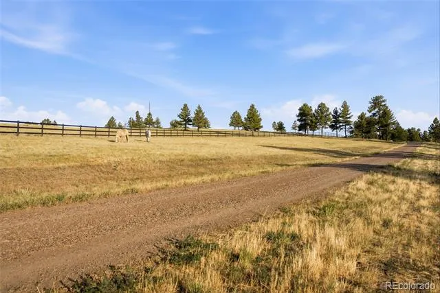 47682 Knibbe Court Parker, CO 80138