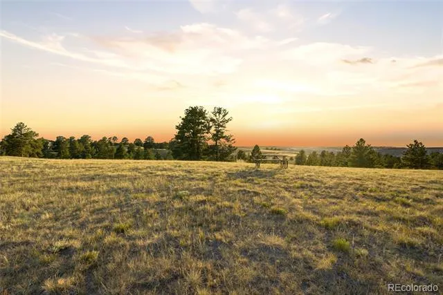47682 Knibbe Court Parker, CO 80138
