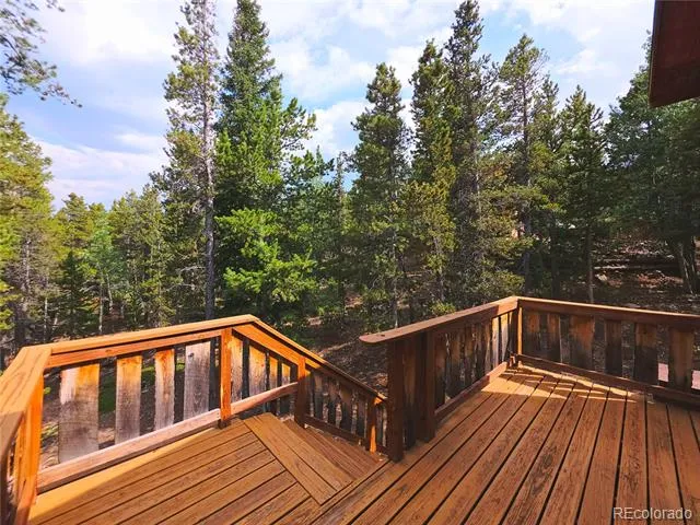 10 Lost Trail Road Idaho Springs, CO 80452