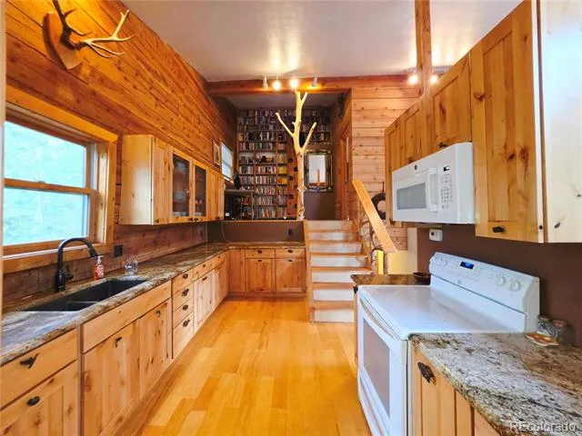 10 Lost Trail Road Idaho Springs, CO 80452