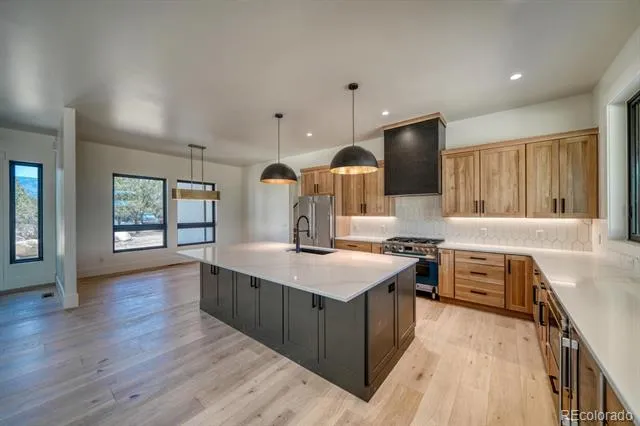 30068 Teal Run Buena Vista, CO 81211
