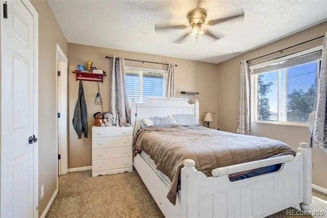 5000 County Road 133 Ramah, CO 80832