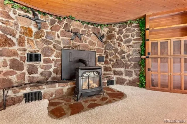 247 True Avenue Poncha Springs, CO 81242