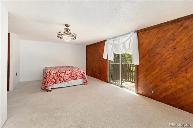 247 True Avenue Poncha Springs, CO 81242