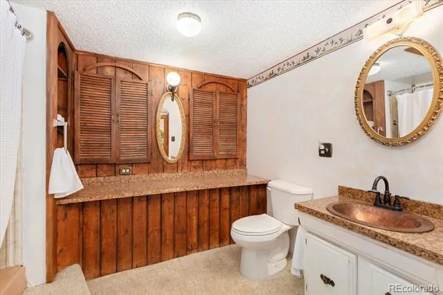 247 True Avenue Poncha Springs, CO 81242