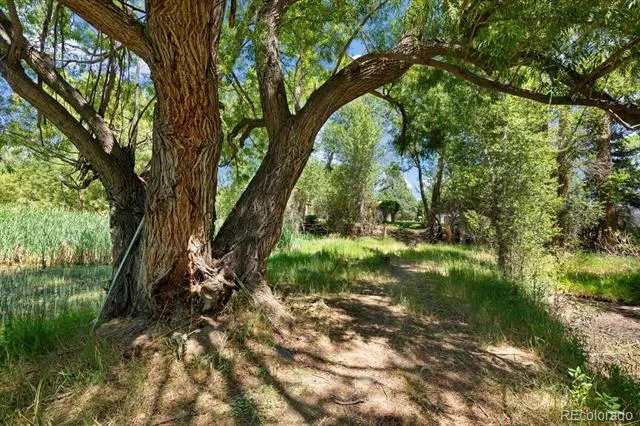 247 True Avenue Poncha Springs, CO 81242