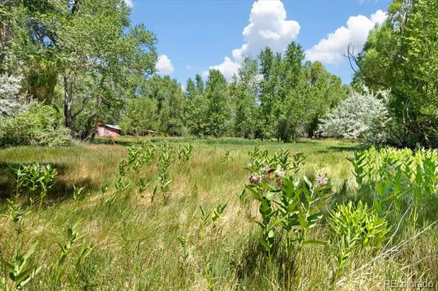 247 True Avenue Poncha Springs, CO 81242