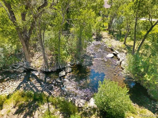 247 True Avenue Poncha Springs, CO 81242