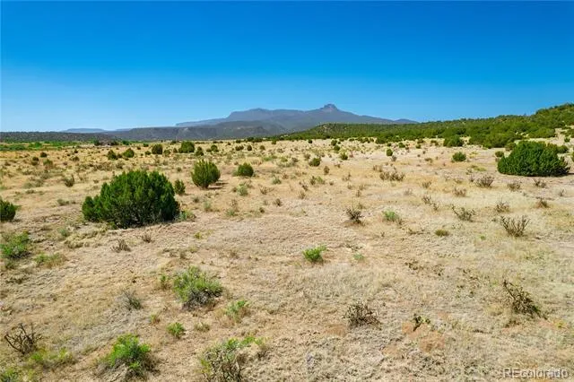 37300 Kunzite Road Trinidad, CO 81082