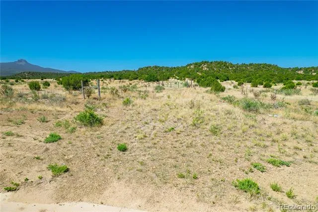 37300 Kunzite Road Trinidad, CO 81082