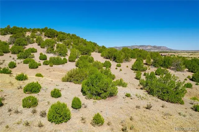 37300 Kunzite Road Trinidad, CO 81082