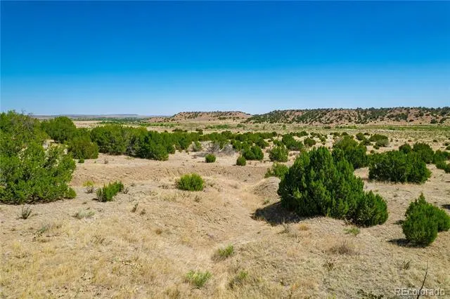 37300 Kunzite Road Trinidad, CO 81082