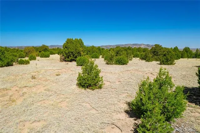37300 Kunzite Road Trinidad, CO 81082