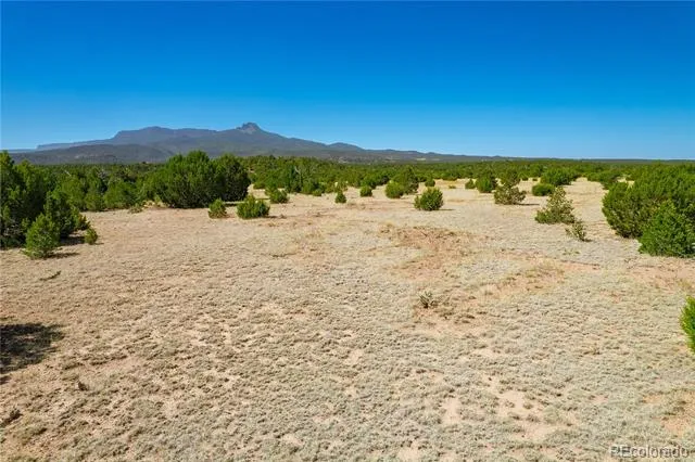 37300 Kunzite Road Trinidad, CO 81082